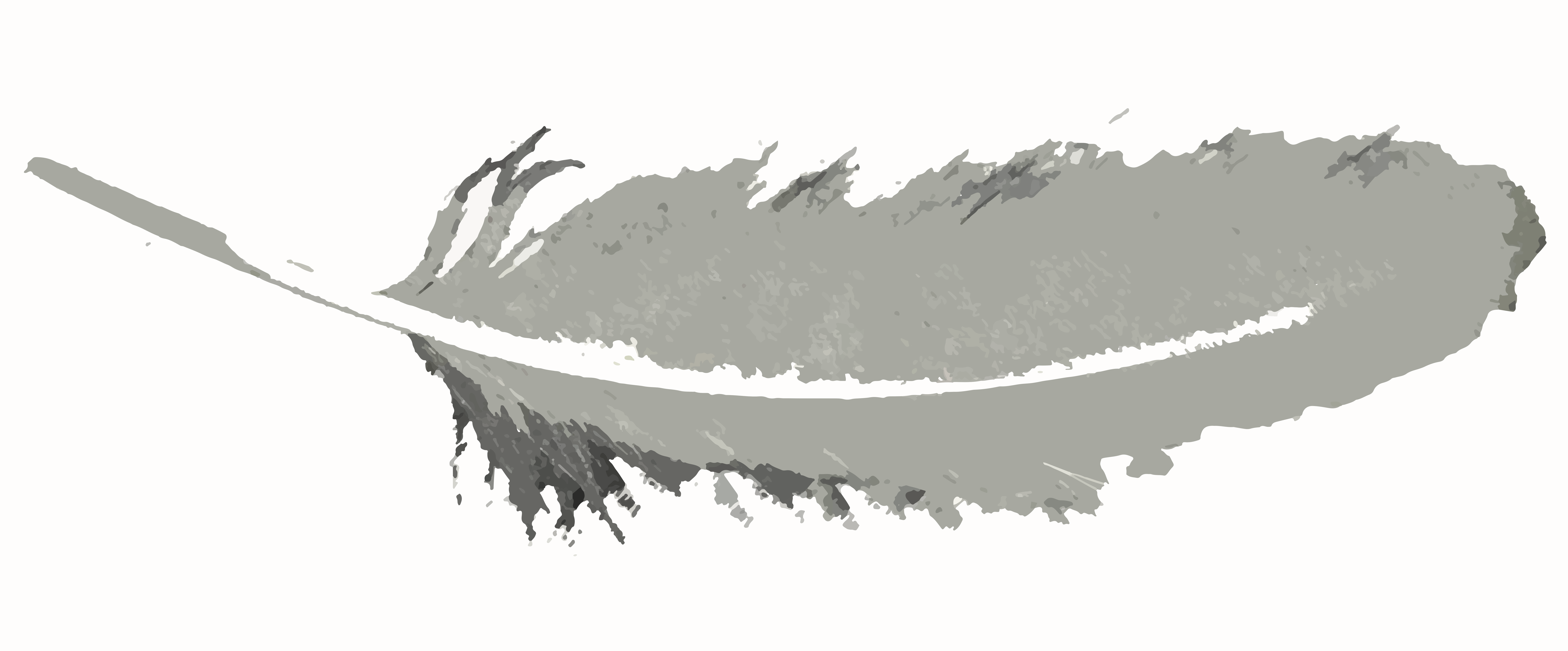 feather image